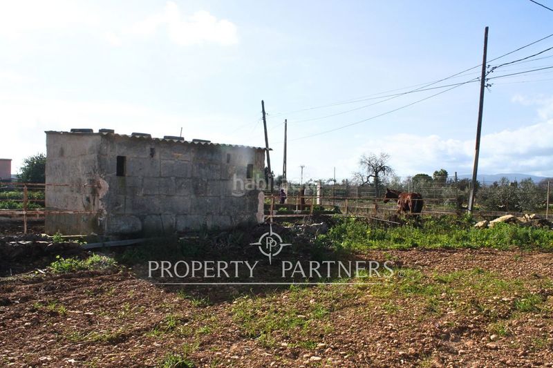 Foto 2171fdb3-0de3-4f62-975b-fe75d8214838. Xalet amb aparcament a Es Garrovers Marratxí