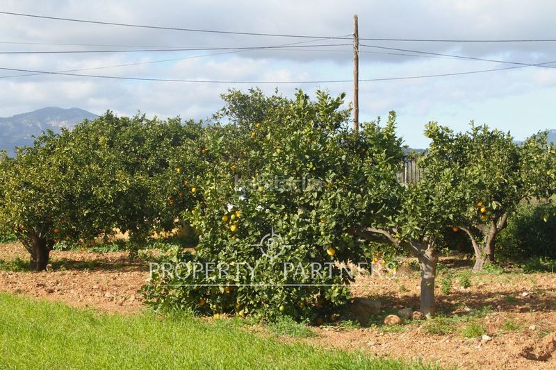 Foto c0ce9042-31a6-499a-98ff-5843c8c504d6. Xalet amb aparcament a Es Garrovers Marratxí