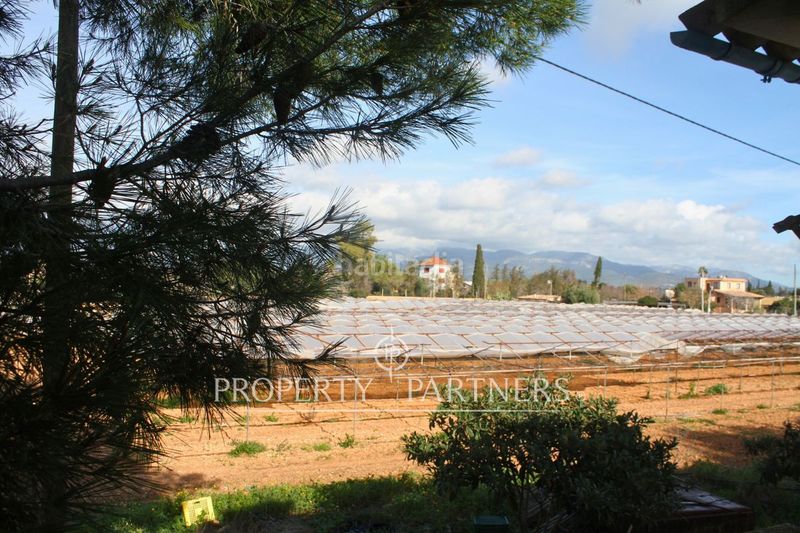 Foto ead6af00-f2c9-49e3-a9e9-209ba88e28ea. Xalet amb aparcament a Es Garrovers Marratxí