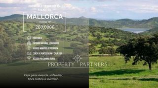 Terreno residenziale  Quarta volta. Oportunidad inversión terreno rústico 19.000 m en felanitx