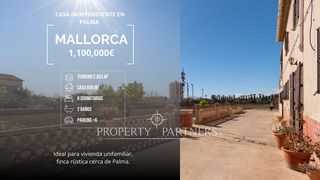 Xalet  Camí fred. Una joya en la auténtica palma