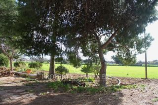 Chalet  Son nebot. Auténtica finca mallorquina de 1872 con gran potencial de reform