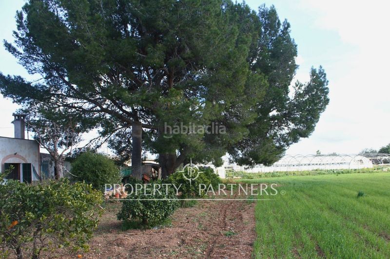 Foto f7e2f9b2-daf4-4f25-905a-5df1a1d81635. Xalet amb aparcament a Es Garrovers Marratxí