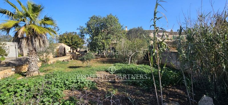 Foto 784eb956-af5a-4a46-b350-b64931214a30. Terreny residencial a cala Santanyí Santanyí