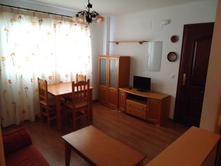 Location Appartement à Las Colonias. Piso amueblado de un dormitorio