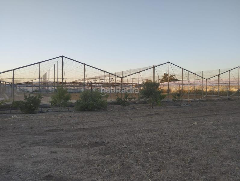 Foto efb6736f-a0e8-4fb7-94ec-ee6689b6896d. Finca rústica a Chipiona norte Chipiona