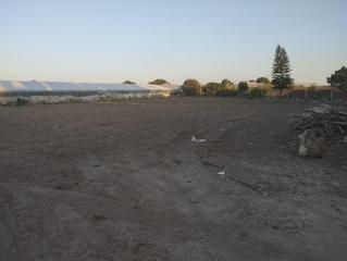 Fondo rustico in Chipiona Norte