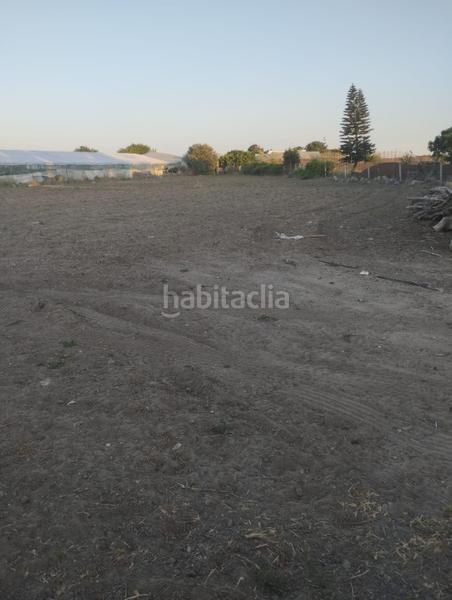 Foto 5bd1b150-04df-4e14-a66a-9f64fcae1904. Finca rústica en Chipiona norte Chipiona