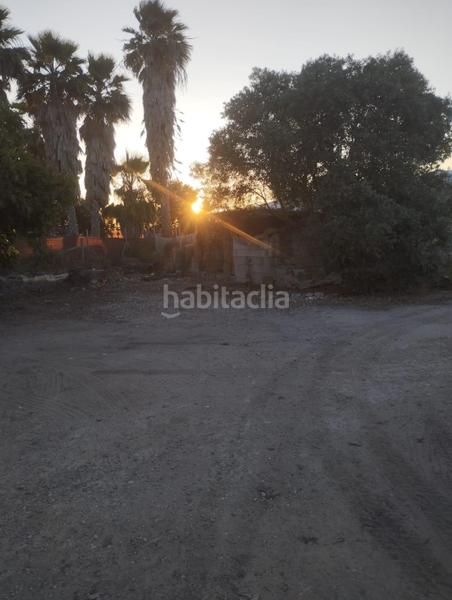 Foto a84e9cfe-8c4d-4914-bfe1-bcdeda08bf2b. Finca rústica en Chipiona norte Chipiona