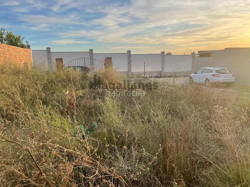 Foto f0d96f28-ec2b-4ac2-9529-0e6f25ca9240. Propriété dans Monteolivete-Camino Sevilla Sanlúcar de Barrameda