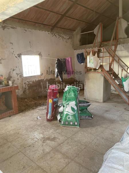 Foto 50821db0-f83b-4604-8c22-cb3f85e25366. Finca rústica en Monteolivete-Camino Sevilla Sanlúcar de Barrameda