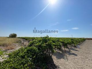 Landgut in Las Palmeras-Dehesilla. Parcela rustíca