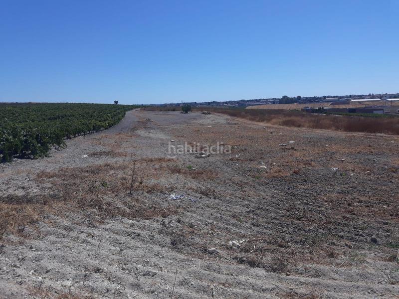 Foto 1b3ea811-41f4-45a3-a07a-1dbf2d474aec. Landgut in Monteolivete-Camino Sevilla Sanlúcar de Barrameda