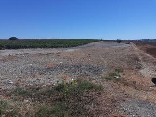 Rural plot in Monteolivete-Camino Sevilla