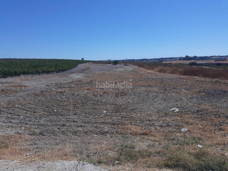 Foto 70303737-f790-4ef8-9948-4266bc1d766f. Finca rústica en Monteolivete-Camino Sevilla Sanlúcar de Barrameda