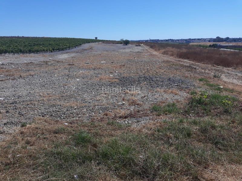 Foto 88823dcf-bb6e-40a8-846c-f29c0819f283. Finca rústica en Monteolivete-Camino Sevilla Sanlúcar de Barrameda