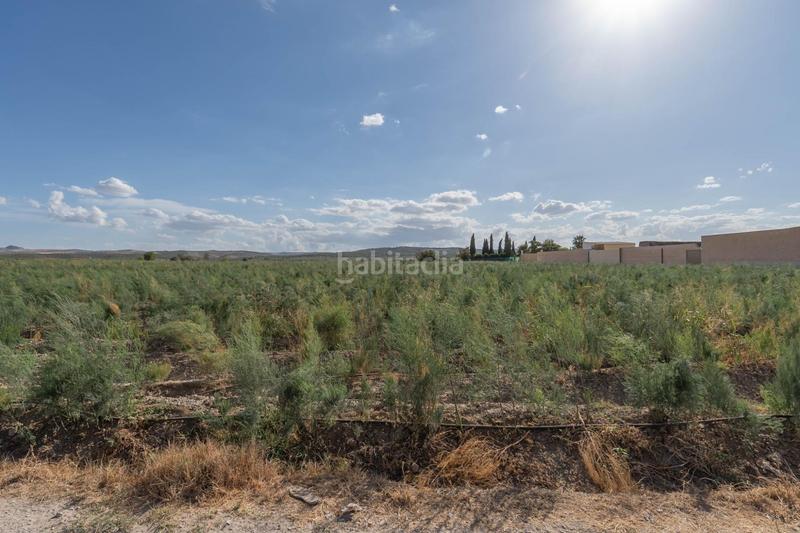 Foto 729f8031-8eba-485f-8492-f3d57bb8fb75. Casa a camino de la carrera s/n a Santa Fe