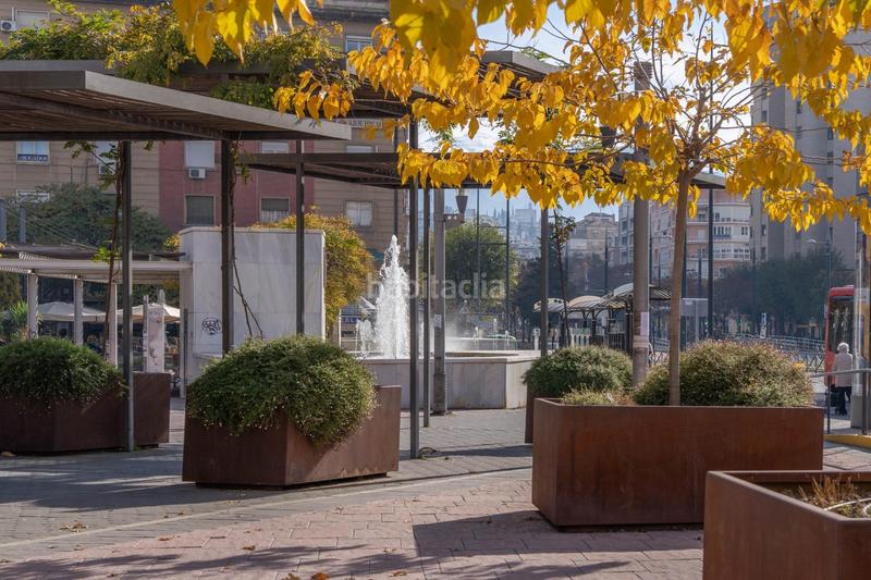 Foto 19ba2c61-9a25-4d63-9b70-ce096620989a. Pis a Pajaritos Granada