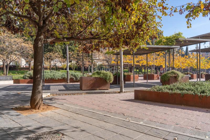 Foto 1b4b8b5f-cb4e-4b7f-aab7-8f7d43d1427d. Pis a Pajaritos Granada