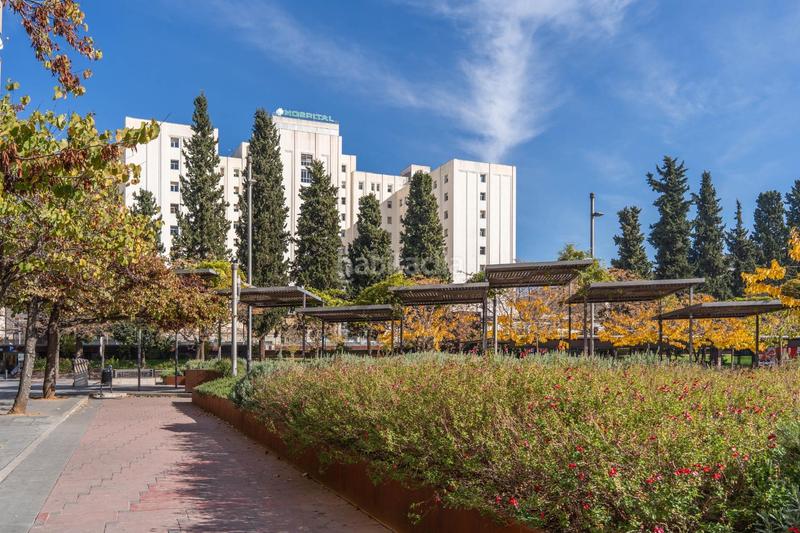 Foto 2dbdc500-1c2e-4ed7-a4fe-cff751e62d24. Pis a Pajaritos Granada