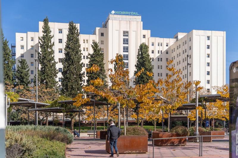 Foto 2f902d2e-bed5-42a1-bf55-518612608fed. Pis a Pajaritos Granada