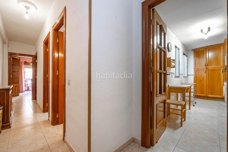 Foto 7ca5bae3-f2f2-460b-bb6e-aee8befbb0ae. Pis a Pajaritos Granada