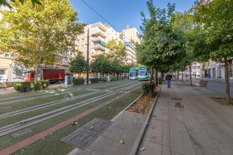 Foto 916feaba-ce3e-4d7f-b198-7c1307a2a5ee. Pis a Pajaritos Granada