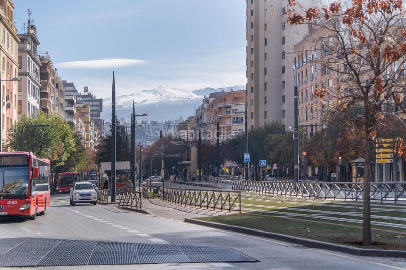 Foto 9ee0d00c-92a8-4767-975c-1c3998272737. Pis a Pajaritos Granada