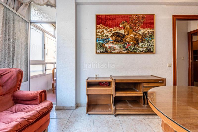 Foto b9b61808-d1d0-4ef2-9df4-e6e10de3852d. Pis a Pajaritos Granada