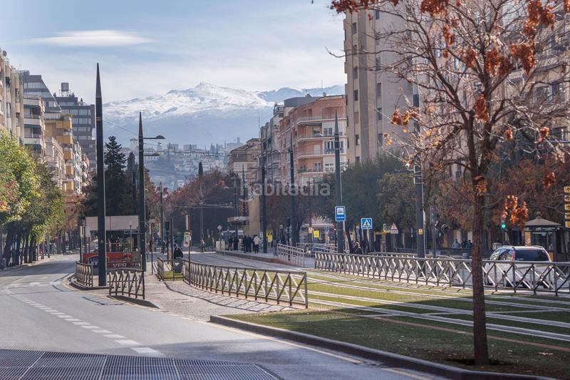 Foto d47a7eb1-d401-44f6-b40c-f7ed25d27d9b. Pis a Pajaritos Granada