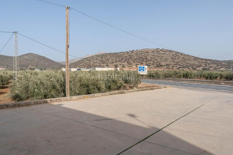 Foto 1ff7ca88-5569-4fee-93f5-d3b09532bcf8. Bâtiment à usage industriel dans Iznalloz