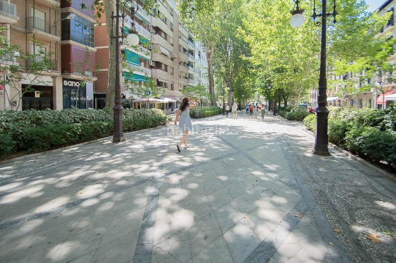 Foto d1ed40bc-2896-466f-a5aa-bd5f228b7781. Piso  en carrera de la virgen en San Matías - Realejo Granada