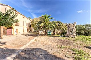 Masia  Cam de son llebre. Finca rstica de 60.000m de terreno con amplia vivienda a refor