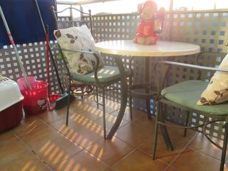 Miete Studiowohnung in Plana Lledó. Precioso estudio a 2 minutos del centro