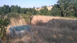 Finca rústica a Camino del lomo 37. Finca junto al pueblo con agua