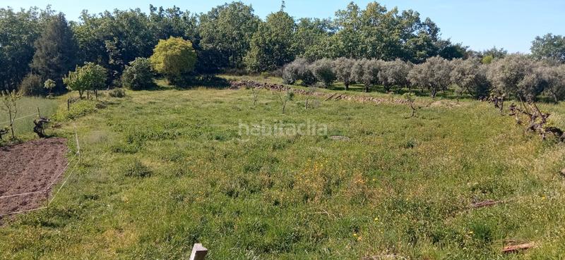 Foto 39052fdb-74d3-4e96-9708-38d9b2348b9b. Finca rústica a calle candeleda 5 a Centro Ávila