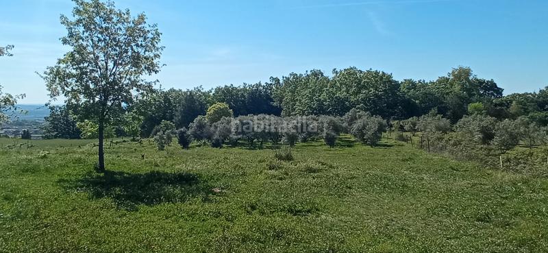 Foto 4d71f7cb-6c35-41de-90b4-c9f21a51fb8d. Finca rústica a calle candeleda 5 a Centro Ávila