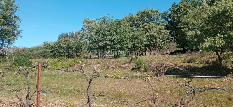 Foto 5558bf4b-9cd0-4761-991e-9deb318fd7b1. Finca rústica a calle candeleda 5 a Centro Ávila