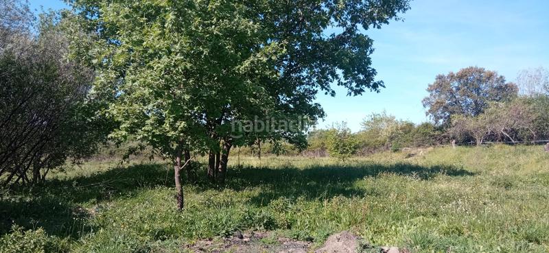 Foto 7d32b821-8372-4ed8-a8c5-59df53d6b206. Finca rústica a calle candeleda 5 a Centro Ávila