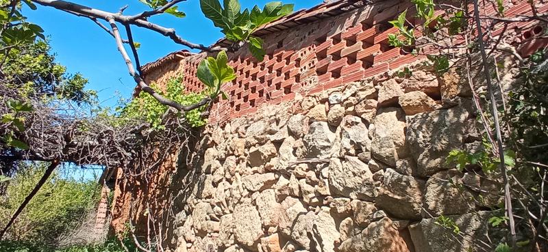 Foto 909e7078-4dcc-478a-97a0-0c00a8a28f38. Finca rústica a calle candeleda 5 a Centro Ávila