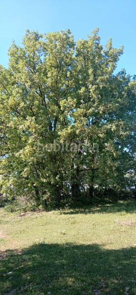 Foto 9439d1c0-ab7b-43ee-a7e4-b168988e5793. Finca rústica a calle candeleda 5 a Centro Ávila