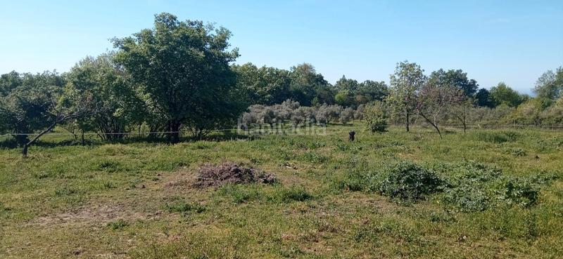 Foto a69f10e2-f49e-4e8c-9ec2-05af7330efd5. Finca rústica a calle candeleda 5 a Centro Ávila