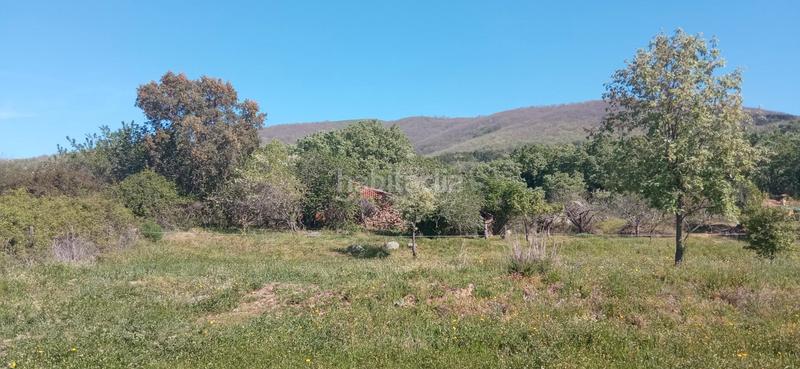 Foto b847e836-8c97-4b36-af00-bdca101ef1d7. Finca rústica a calle candeleda 5 a Centro Ávila