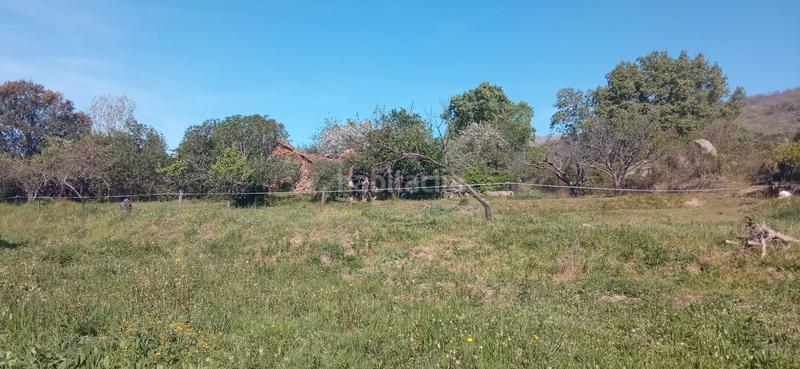 Foto ce091525-12bd-432c-9f41-4444f8932b6e. Finca rústica a calle candeleda 5 a Centro Ávila