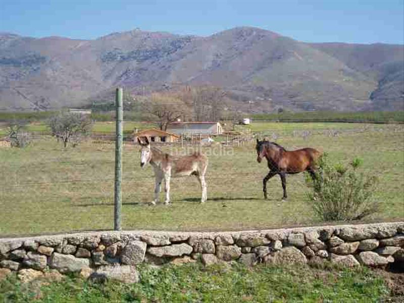 Foto 455b6b3a-912a-4ffa-8a9b-eae13e083644. Finca rústica finca con casas, agua y luz en Candeleda