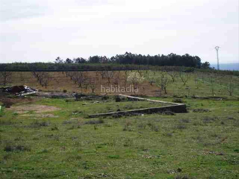 Foto 4b015d7d-3dbf-40e4-9f4d-a92792f3981b. Finca rústica finca con casas, agua y luz en Candeleda