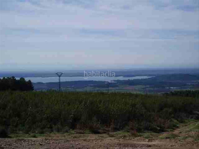 Foto 67a9ff3a-4a55-4da5-9ed6-e0b91b5031fd. Finca rústica finca con casas, agua y luz en Candeleda