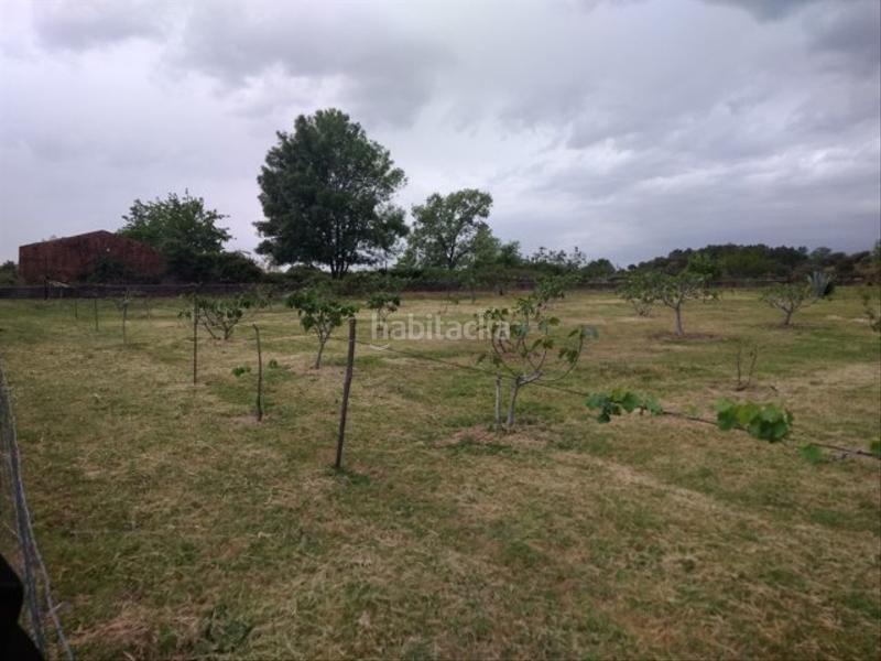 Foto 20e41bca-c552-4eb1-93f9-d8834d2e5b4e. Finca rústica a calle candeleda 5 a Centro Ávila