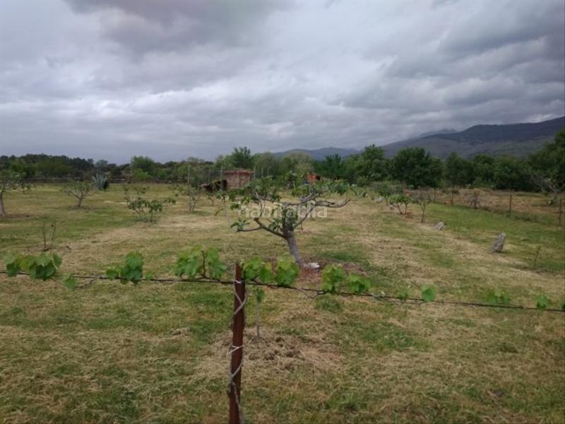 Foto 50d8f544-056c-44e9-8448-4b9dc9e6cdc6. Finca rústica a calle candeleda 5 a Centro Ávila