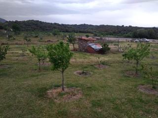 Finca rústica a Calle candeleda 5. Finca con agua y construccion